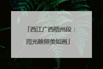 西江广西梧州段：霞光映照美如画