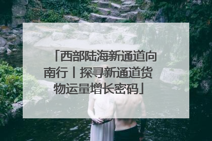 西部陆海新通道向南行丨探寻新通道货物运量增长密码