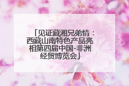 见证藏湘兄弟情：西藏山南特色产品亮相第四届中国-非洲经贸博览会