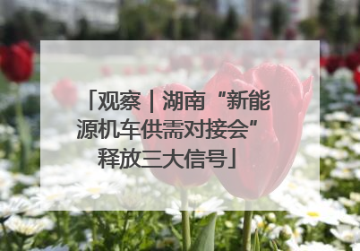 观察｜湖南“新能源机车供需对接会”释放三大信号