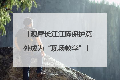 观摩长江江豚保护意外成为“现场教学”