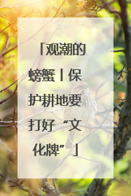 观潮的螃蟹丨保护耕地要打好“文化牌”
