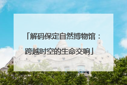 解码保定自然博物馆：跨越时空的生命交响
