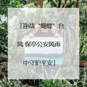 迎战“蝴蝶”台风 保亭公安风雨中守护平安