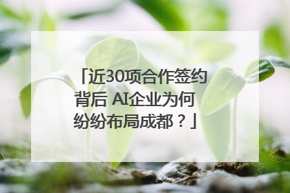 近30项合作签约背后 AI企业为何纷纷布局成都？