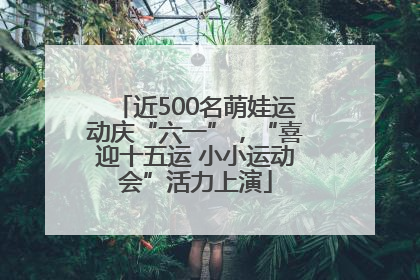 近500名萌娃运动庆“六一”，“喜迎十五运 小小运动会”活力上演
