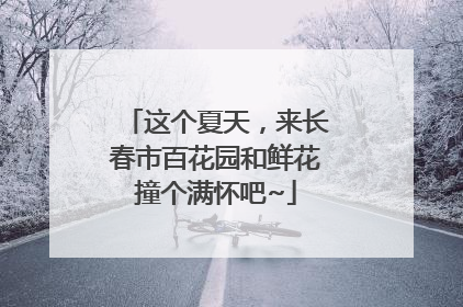 这个夏天，来长春市百花园和鲜花撞个满怀吧~