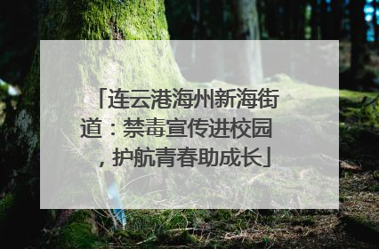 连云港海州新海街道：禁毒宣传进校园，护航青春助成长