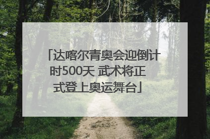 达喀尔青奥会迎倒计时500天 武术将正式登上奥运舞台