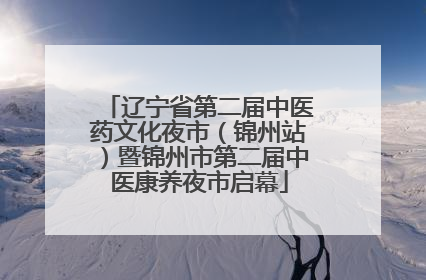 辽宁省第二届中医药文化夜市（锦州站）暨锦州市第二届中医康养夜市启幕