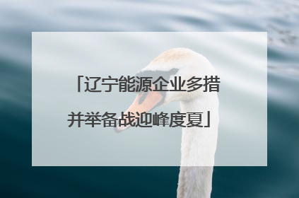辽宁能源企业多措并举备战迎峰度夏