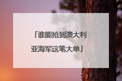 谁能抢到澳大利亚海军这笔大单