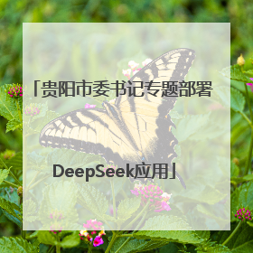 贵阳市委书记专题部署DeepSeek应用
