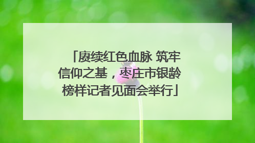 赓续红色血脉 筑牢信仰之基，枣庄市银龄榜样记者见面会举行