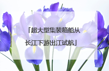 超大型集装箱船从长江下游出江试航