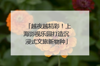 越夜越精彩！上海影视乐园打造沉浸式文旅新物种