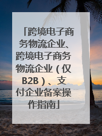 跨境电子商务物流企业、跨境电子商务物流企业（仅B2B）、支付企业备案操作指南