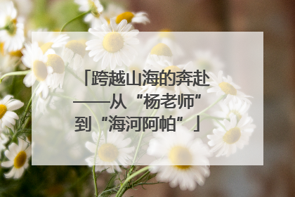 跨越山海的奔赴——从“杨老师”到“海河阿帕”
