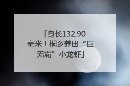 身长132.90毫米！桐乡养出“巨无霸”小龙虾