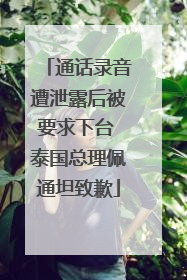 通话录音遭泄露后被要求下台 泰国总理佩通坦致歉