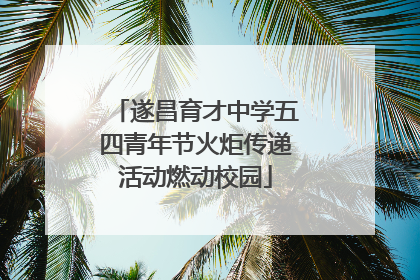 遂昌育才中学五四青年节火炬传递活动燃动校园