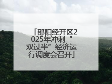 邵阳经开区2025年冲刺“双过半”经济运行调度会召开