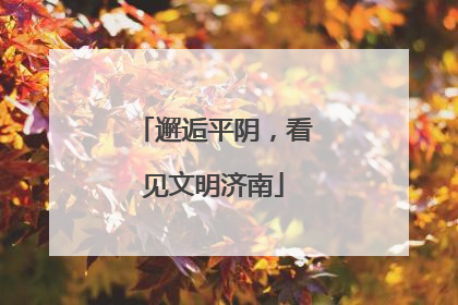 邂逅平阴，看见文明济南