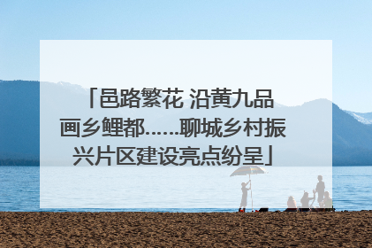 邑路繁花 沿黄九品 画乡鲤都……聊城乡村振兴片区建设亮点纷呈