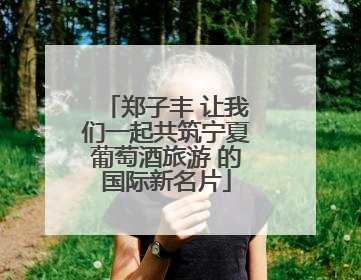郑子丰 让我们一起共筑宁夏葡萄酒旅游 的国际新名片