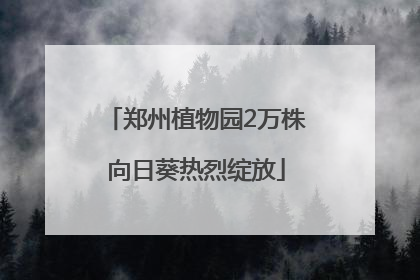 郑州植物园2万株向日葵热烈绽放
