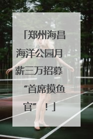 郑州海昌海洋公园月薪三万招募“首席摸鱼官”！