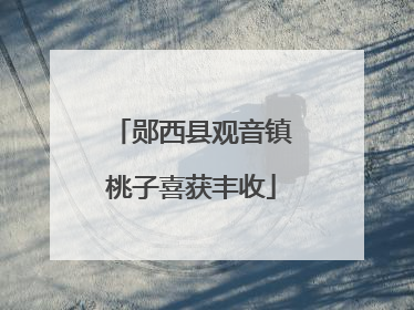 郧西县观音镇桃子喜获丰收