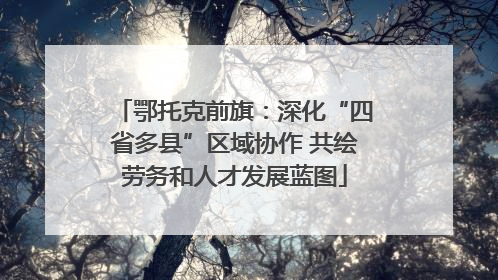 鄂托克前旗：深化“四省多县”区域协作 共绘劳务和人才发展蓝图