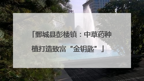 鄄城县彭楼镇：中草药种植打造致富“金钥匙”