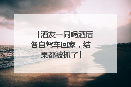 酒友一同喝酒后各自驾车回家，结果都被抓了
