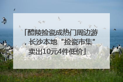 醴陵捡瓷成热门周边游，长沙本地“捡瓷市集”卖出10元4件低价