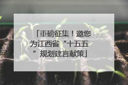 重磅征集！邀您为江西省“十五五”规划建言献策