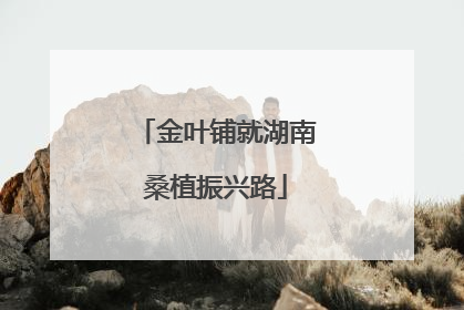 金叶铺就湖南桑植振兴路