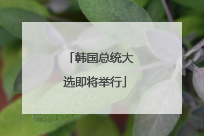 韩国总统大选即将举行