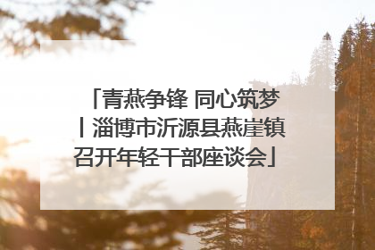 青燕争锋 同心筑梦丨淄博市沂源县燕崖镇召开年轻干部座谈会