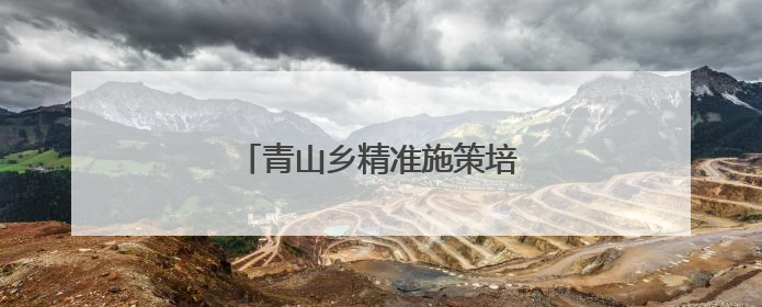 青山乡精准施策培育“头雁”队伍
