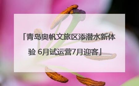 青岛奥帆文旅区添潜水新体验 6月试运营7月迎客