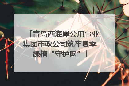 青岛西海岸公用事业集团市政公司筑牢夏季绿植“守护网”