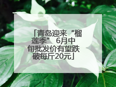青岛迎来“榴莲季” 6月中旬批发价有望跌破每斤20元
