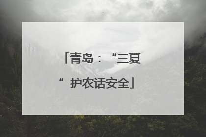 青岛：“三夏”护农话安全