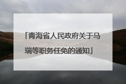 青海省人民政府关于马瑞等职务任免的通知