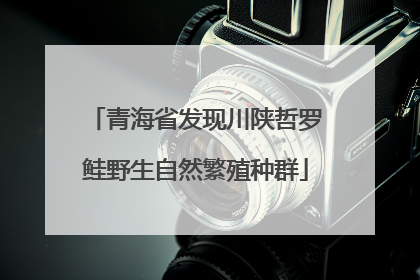 青海省发现川陕哲罗鲑野生自然繁殖种群