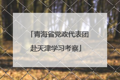青海省党政代表团赴天津学习考察