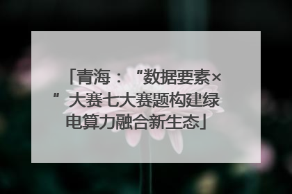 青海：“数据要素×”大赛七大赛题构建绿电算力融合新生态