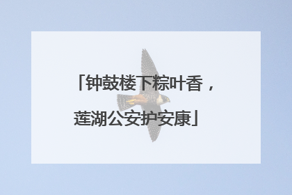 钟鼓楼下粽叶香，莲湖公安护安康